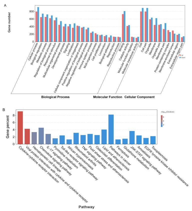 https://cdn.ncbi.nlm.nih.gov/pmc/blobs/c010/11678448/76c455a2655b/microorganisms-12-02618-g005.jpg