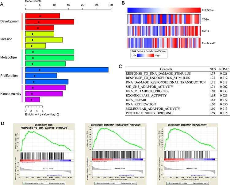 https://cdn.ncbi.nlm.nih.gov/pmc/blobs/c010/4742201/12a85721d151/oncotarget-06-36643-g004.jpg