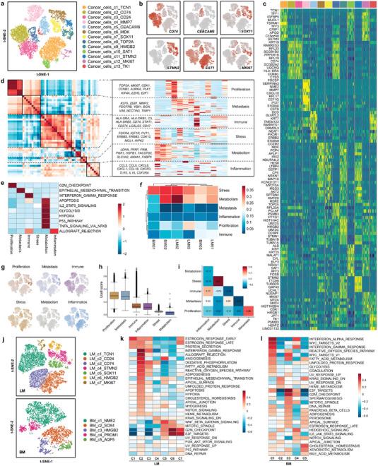 https://cdn.ncbi.nlm.nih.gov/pmc/blobs/c010/9929130/22a10641cd88/ADVS-10-2203699-g003.jpg