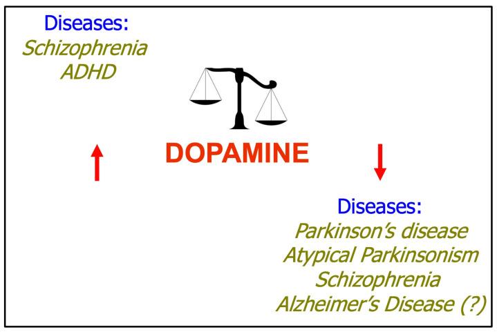https://cdn.ncbi.nlm.nih.gov/pmc/blobs/c012/11121567/205fce28d3c9/ijms-25-05293-g001.jpg