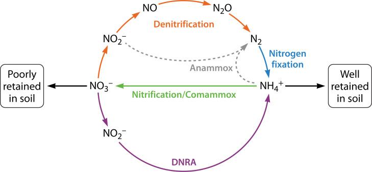 https://cdn.ncbi.nlm.nih.gov/pmc/blobs/c012/12285233/6c0e852a97ff/aem.00292-25.f001.jpg