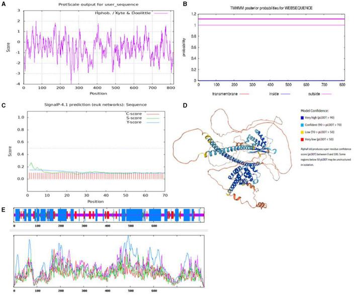 https://cdn.ncbi.nlm.nih.gov/pmc/blobs/c013/10495836/11ec6ffc6342/fvets-10-1132833-g0001.jpg