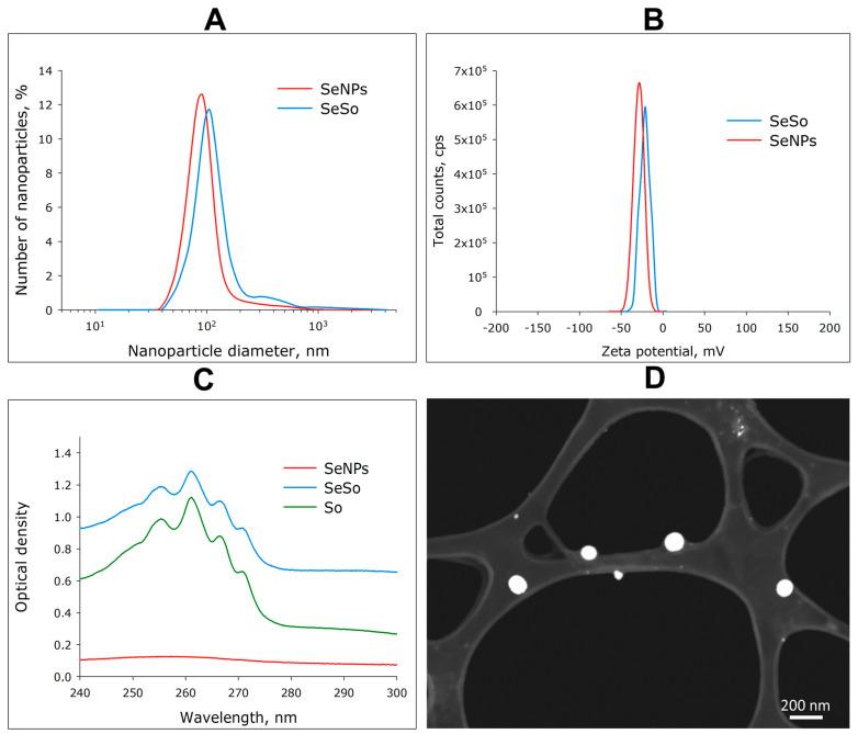 https://cdn.ncbi.nlm.nih.gov/pmc/blobs/c016/10706216/2b6a3c46adcd/cells-12-02723-g001.jpg