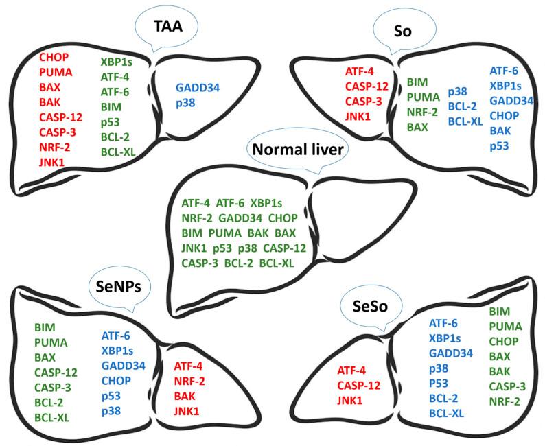 https://cdn.ncbi.nlm.nih.gov/pmc/blobs/c016/10706216/5224a2ac058a/cells-12-02723-g015.jpg