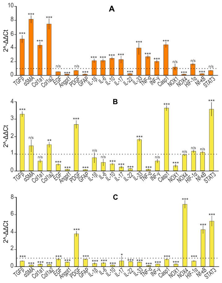 https://cdn.ncbi.nlm.nih.gov/pmc/blobs/c016/10706216/6cca63e7612f/cells-12-02723-g009a.jpg