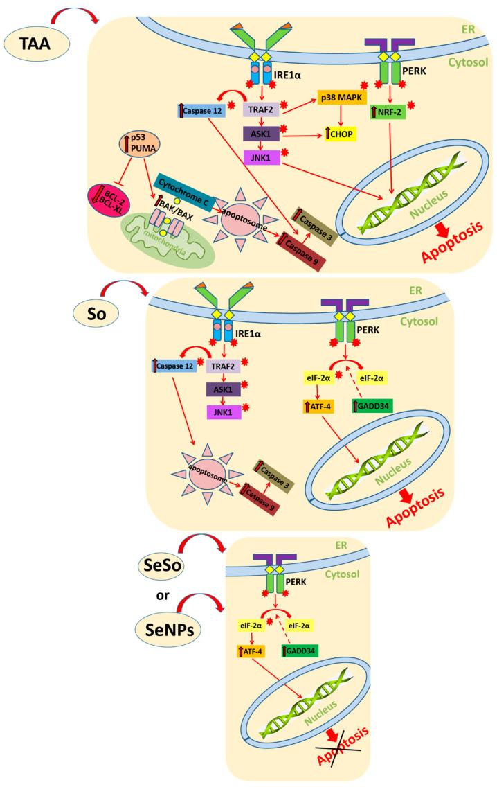 https://cdn.ncbi.nlm.nih.gov/pmc/blobs/c016/10706216/c0e14473461f/cells-12-02723-g016.jpg