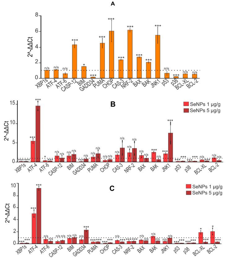 https://cdn.ncbi.nlm.nih.gov/pmc/blobs/c016/10706216/c37aa2c4fdaa/cells-12-02723-g013a.jpg