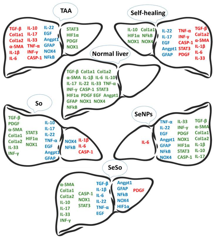 https://cdn.ncbi.nlm.nih.gov/pmc/blobs/c016/10706216/d37c3a13d5b4/cells-12-02723-g011.jpg