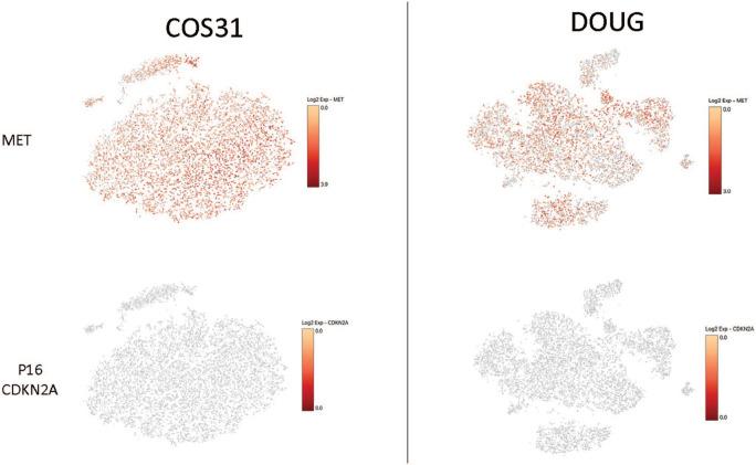https://cdn.ncbi.nlm.nih.gov/pmc/blobs/c016/7953095/1077f184aadf/10.1177_1040638720985242-fig4.jpg