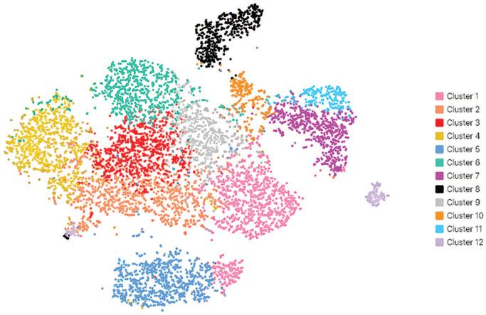 https://cdn.ncbi.nlm.nih.gov/pmc/blobs/c016/7953095/92667e0631f9/10.1177_1040638720985242-fig3.jpg