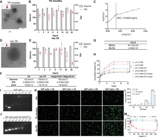 https://cdn.ncbi.nlm.nih.gov/pmc/blobs/c019/11848597/60769390b425/ADVS-12-2412244-g001.jpg