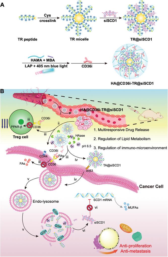 https://cdn.ncbi.nlm.nih.gov/pmc/blobs/c019/11848597/d0b0ccc1a754/ADVS-12-2412244-g002.jpg