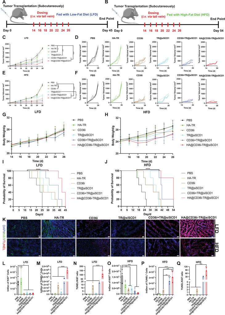 https://cdn.ncbi.nlm.nih.gov/pmc/blobs/c019/11848597/e7ce42ee6fed/ADVS-12-2412244-g008.jpg