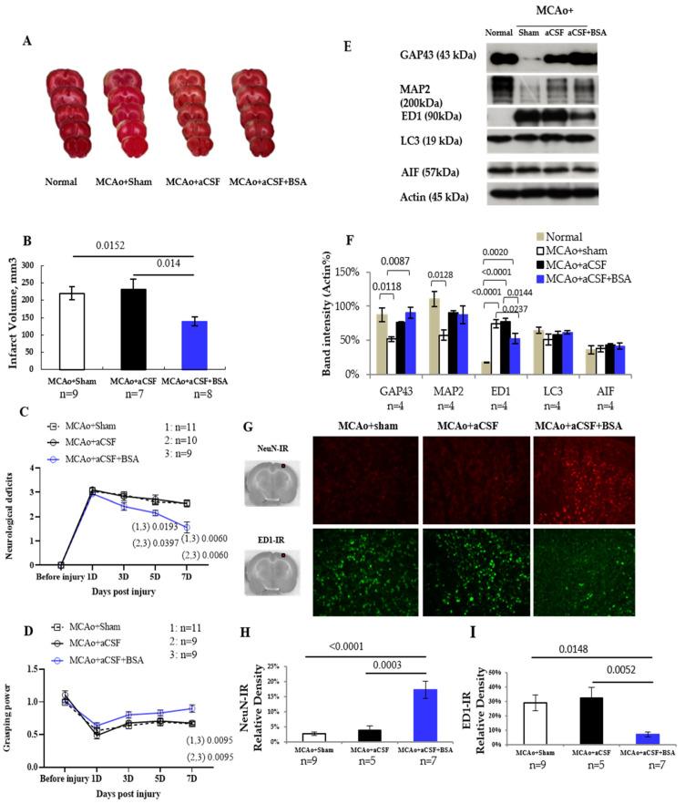 https://cdn.ncbi.nlm.nih.gov/pmc/blobs/c019/12027531/9fe2171ee2cb/ijms-26-03821-g001.jpg