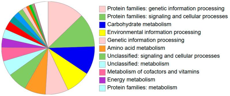 https://cdn.ncbi.nlm.nih.gov/pmc/blobs/c01a/11727782/52c8bbeda94b/microorganisms-12-02476-g008.jpg