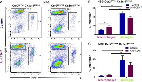 https://cdn.ncbi.nlm.nih.gov/pmc/blobs/c01a/6338872/af2d4d1113b4/pnas.1721434116fig01.jpg