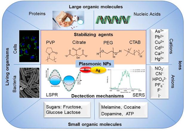 https://cdn.ncbi.nlm.nih.gov/pmc/blobs/c01b/9905839/64f02bfcee86/fchem-11-1078840-g006.jpg