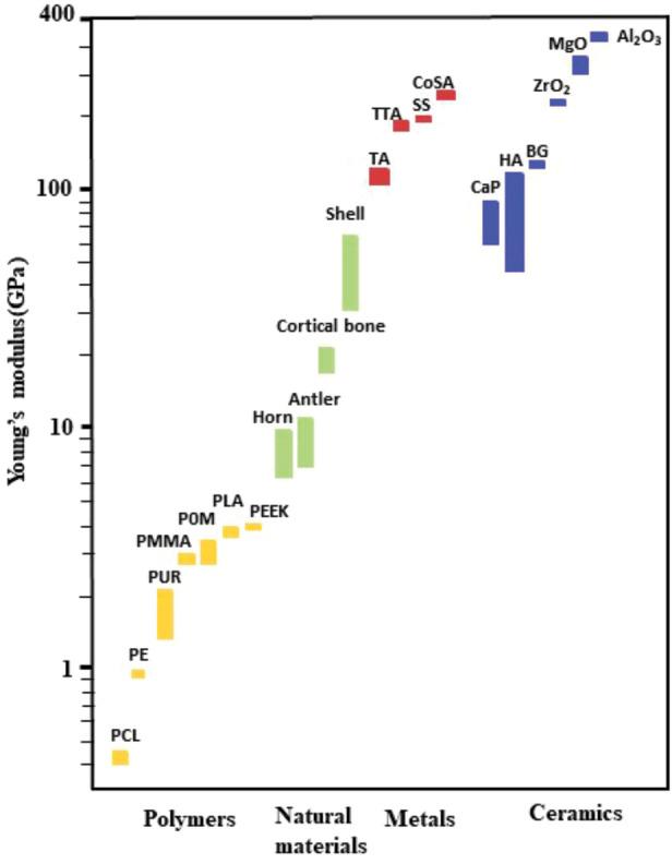 https://cdn.ncbi.nlm.nih.gov/pmc/blobs/c01b/9905839/77584b5cf9d9/fchem-11-1078840-g008.jpg