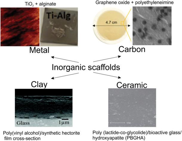 https://cdn.ncbi.nlm.nih.gov/pmc/blobs/c01b/9905839/79863335ce7d/fchem-11-1078840-g007.jpg