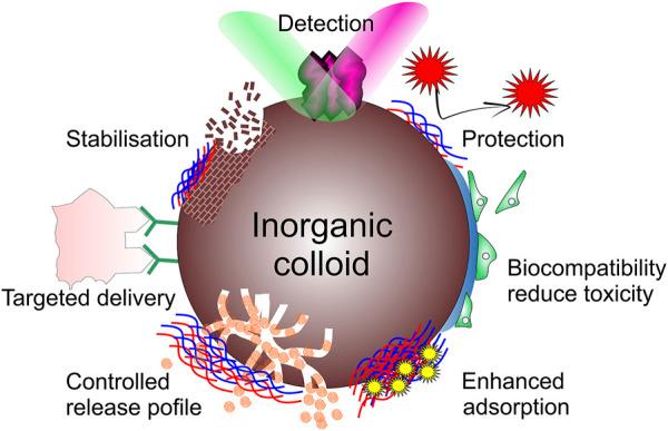 https://cdn.ncbi.nlm.nih.gov/pmc/blobs/c01b/9905839/a731edf11c57/fchem-11-1078840-g004.jpg