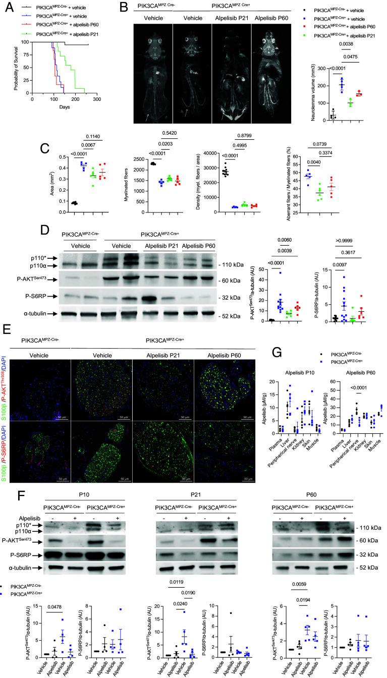 https://cdn.ncbi.nlm.nih.gov/pmc/blobs/c01c/12232645/a8220d0016a1/pnas.2424867122fig04.jpg