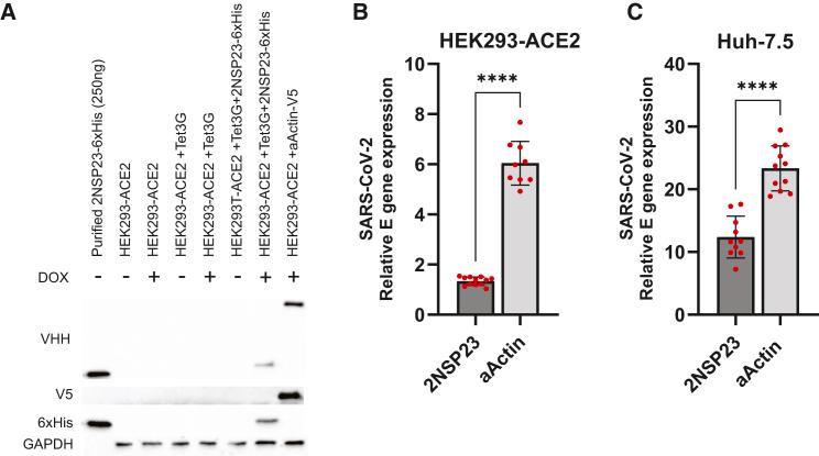 https://cdn.ncbi.nlm.nih.gov/pmc/blobs/c01d/11401216/2ecadcb2b8d9/gr1.jpg