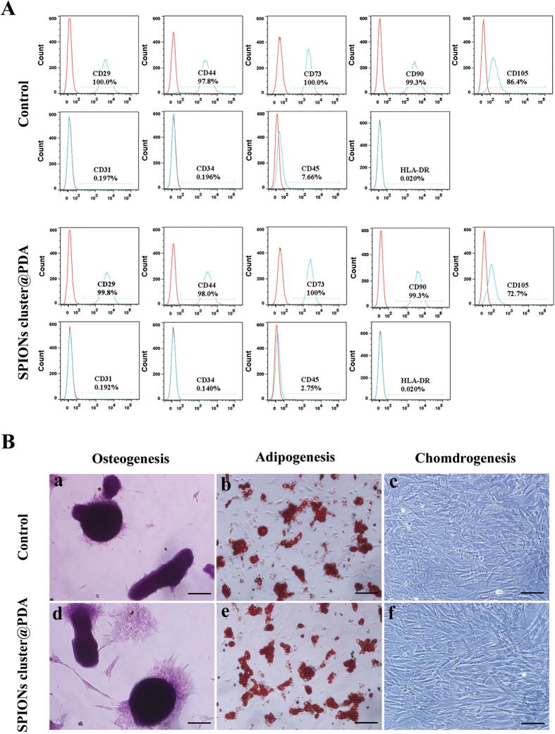 https://cdn.ncbi.nlm.nih.gov/pmc/blobs/c01f/4700528/8ae63e1f4444/srep18746-f3.jpg