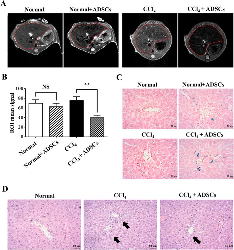 https://cdn.ncbi.nlm.nih.gov/pmc/blobs/c01f/4700528/8e17ab8a8ba2/srep18746-f5.jpg