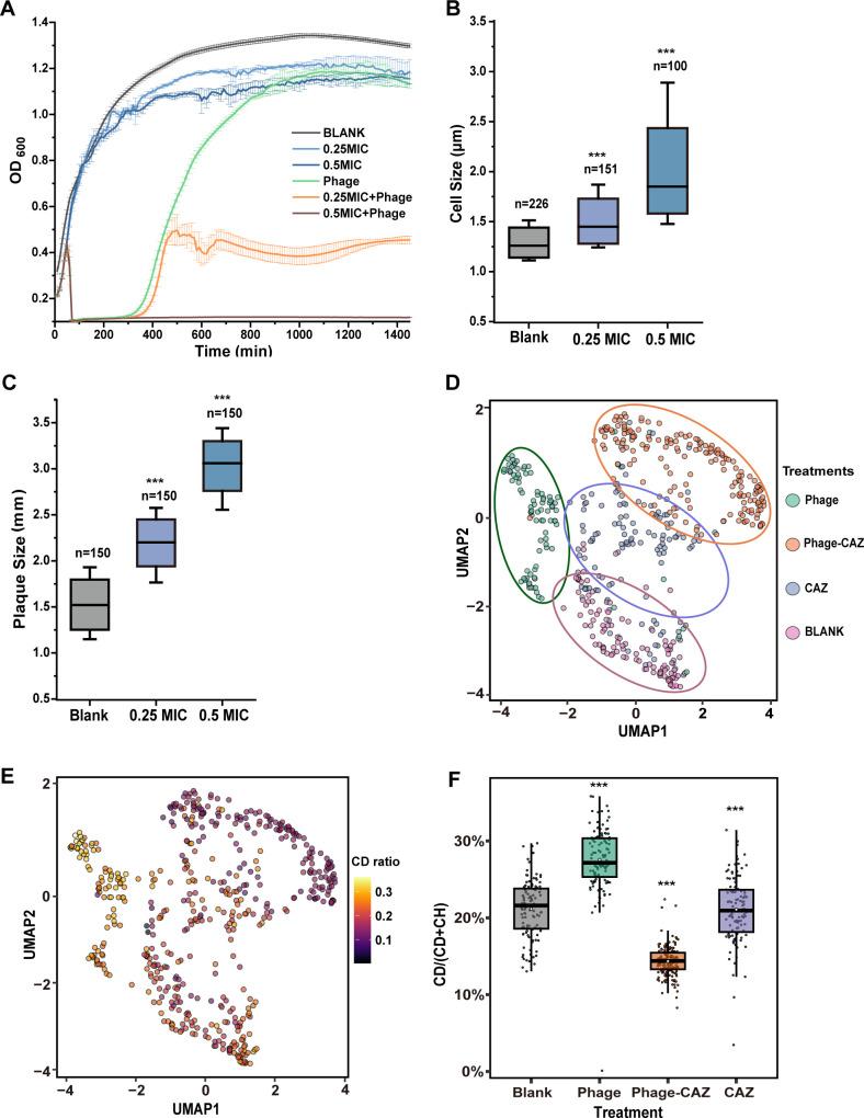 https://cdn.ncbi.nlm.nih.gov/pmc/blobs/c027/11481518/36b13afa1789/mbio.01393-24.f003.jpg