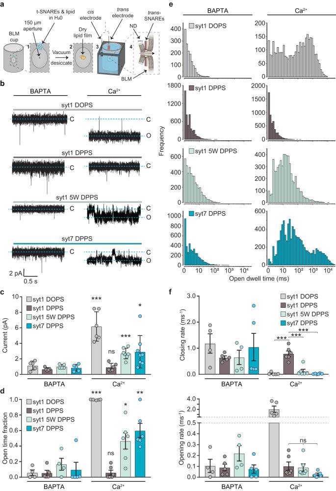 https://cdn.ncbi.nlm.nih.gov/pmc/blobs/c028/10681989/7621aa5dfea8/41467_2023_42497_Fig5_HTML.jpg