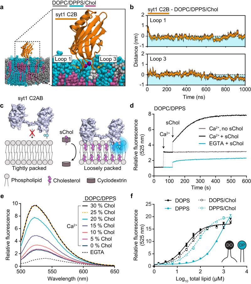 https://cdn.ncbi.nlm.nih.gov/pmc/blobs/c028/10681989/a7aac0340643/41467_2023_42497_Fig3_HTML.jpg