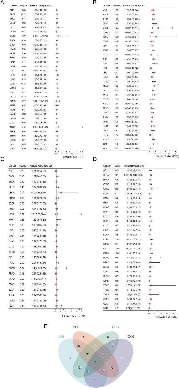 https://cdn.ncbi.nlm.nih.gov/pmc/blobs/c02c/10940407/25f51215baa6/432_2024_5644_Fig5_HTML.jpg