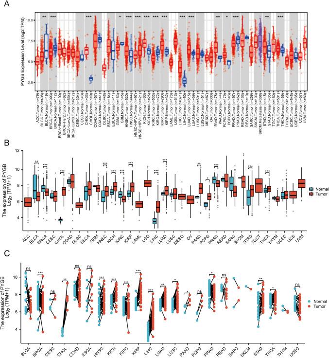 https://cdn.ncbi.nlm.nih.gov/pmc/blobs/c02c/10940407/60c7141a476a/432_2024_5644_Fig3_HTML.jpg