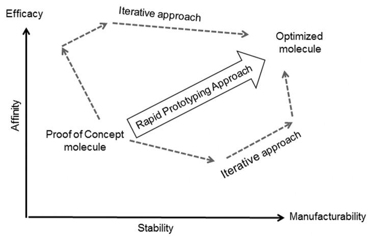 https://cdn.ncbi.nlm.nih.gov/pmc/blobs/c02d/3893234/2af08ba8724d/mabs-5-237-g1.jpg