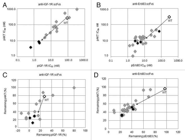 https://cdn.ncbi.nlm.nih.gov/pmc/blobs/c02d/3893234/5c211ec24061/mabs-5-237-g11.jpg