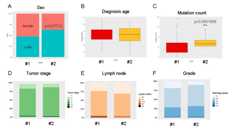 https://cdn.ncbi.nlm.nih.gov/pmc/blobs/c02d/7697168/0a68ca0528fc/cancers-12-03309-g006.jpg