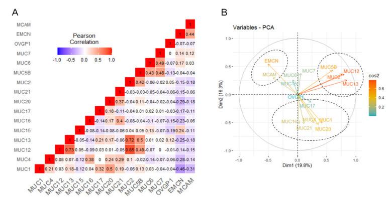 https://cdn.ncbi.nlm.nih.gov/pmc/blobs/c02d/7697168/cc5116c3a61b/cancers-12-03309-g004.jpg