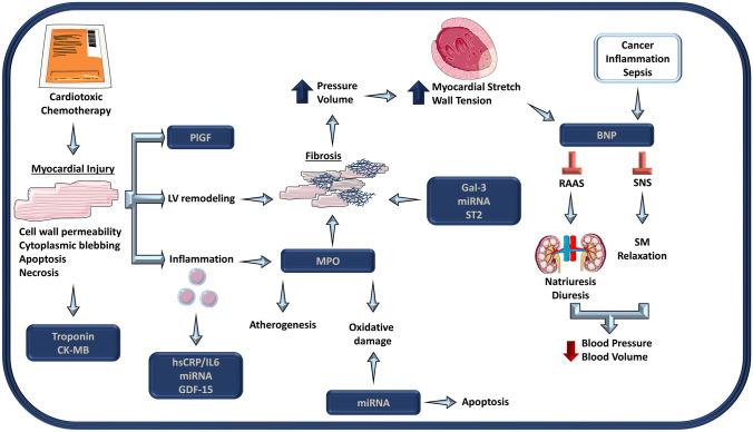 https://cdn.ncbi.nlm.nih.gov/pmc/blobs/c02e/10017575/9997fa31bd2f/11886_2022_1834_Fig1_HTML.jpg