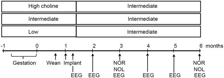 https://cdn.ncbi.nlm.nih.gov/pmc/blobs/c02e/12209278/5c221fe5391a/frdem-04-1513144-g007.jpg