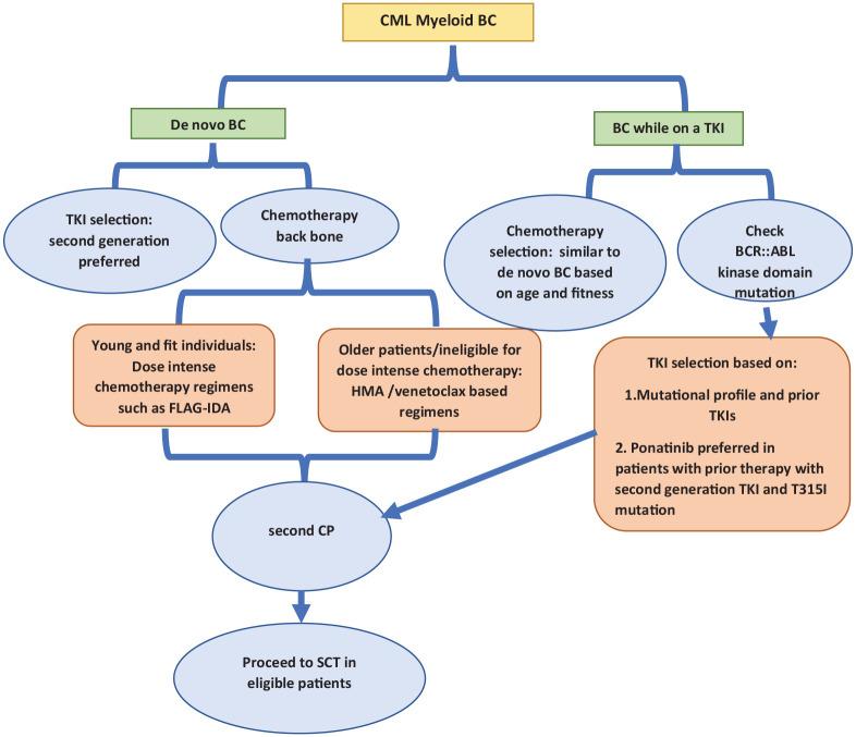 https://cdn.ncbi.nlm.nih.gov/pmc/blobs/c02f/9726842/ca3448b3dd0b/10.1177_11795549221139357-fig3.jpg