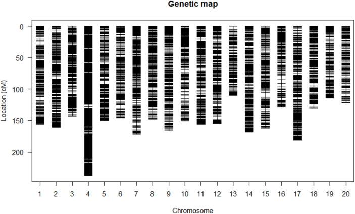 https://cdn.ncbi.nlm.nih.gov/pmc/blobs/c030/12420555/f6a8c7956ee2/11032_2025_1592_Fig1_HTML.jpg