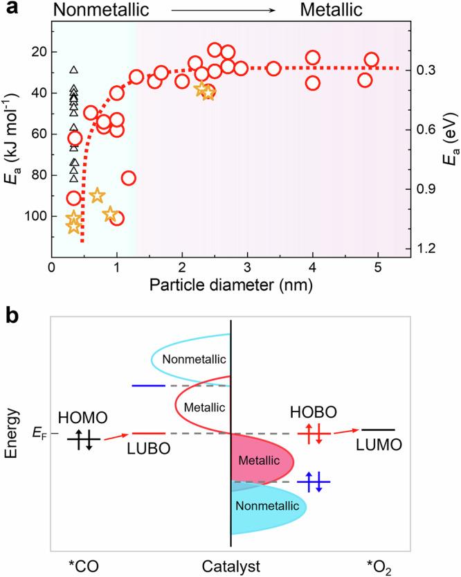 https://cdn.ncbi.nlm.nih.gov/pmc/blobs/c032/11452661/016425746375/41467_2024_52997_Fig5_HTML.jpg