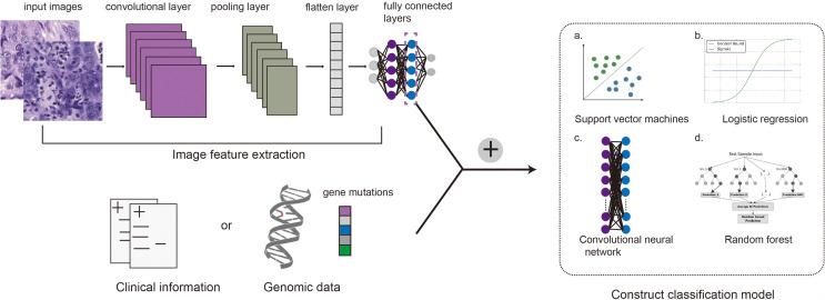 https://cdn.ncbi.nlm.nih.gov/pmc/blobs/c033/8660076/f3ef960265f8/fonc-11-763527-g002.jpg