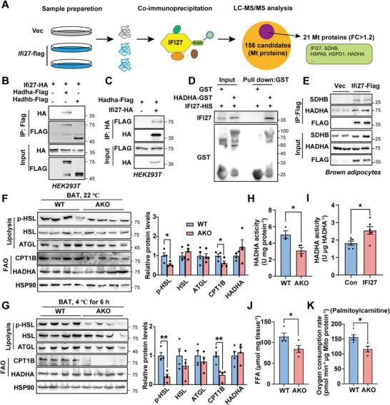 https://cdn.ncbi.nlm.nih.gov/pmc/blobs/c035/10558685/1dc4ba0b248a/ADVS-10-2301855-g008.jpg