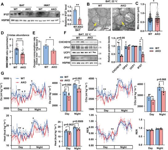 https://cdn.ncbi.nlm.nih.gov/pmc/blobs/c035/10558685/8bd81d0839f6/ADVS-10-2301855-g004.jpg