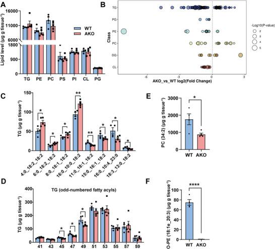 https://cdn.ncbi.nlm.nih.gov/pmc/blobs/c035/10558685/ffa8befac8a5/ADVS-10-2301855-g001.jpg
