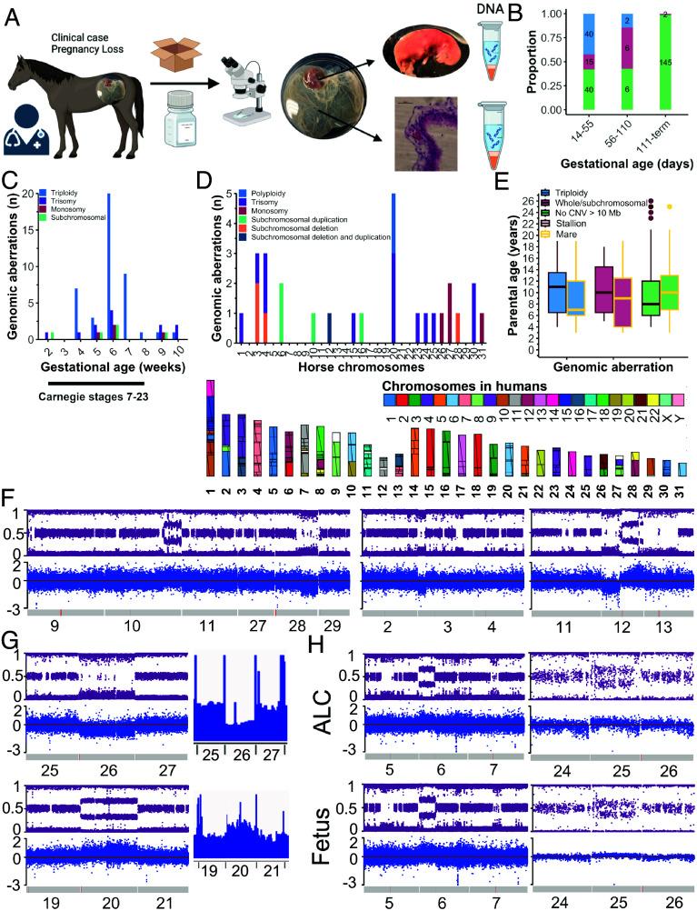 https://cdn.ncbi.nlm.nih.gov/pmc/blobs/c035/11331123/25610ea80f9d/pnas.2405636121fig01.jpg