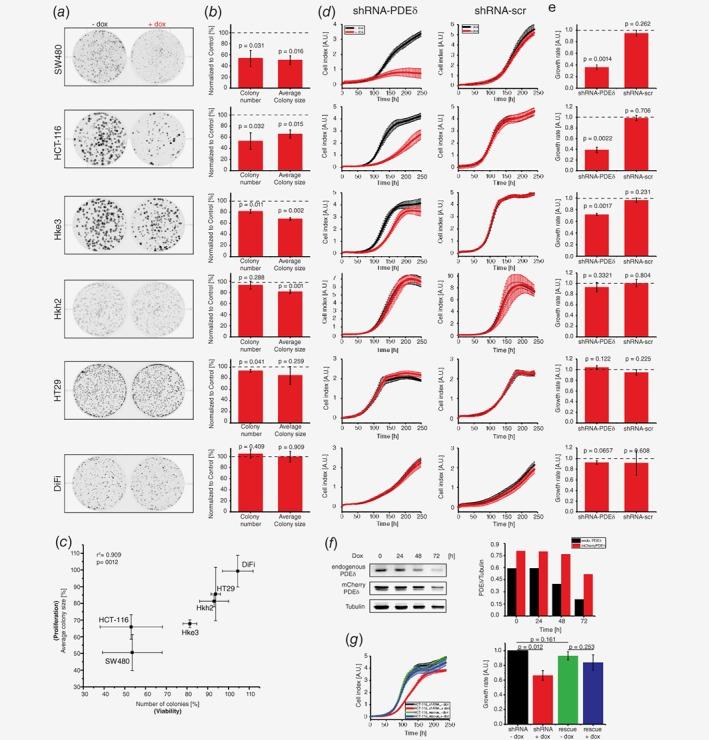 https://cdn.ncbi.nlm.nih.gov/pmc/blobs/c035/6519276/2fda3db1ae4d/IJC-144-767-g002.jpg