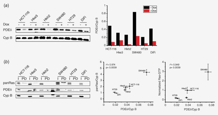 https://cdn.ncbi.nlm.nih.gov/pmc/blobs/c035/6519276/808e61377609/IJC-144-767-g001.jpg