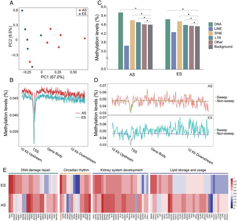 https://cdn.ncbi.nlm.nih.gov/pmc/blobs/c039/9060526/0676d9efa591/pnas.2121822119fig03.jpg